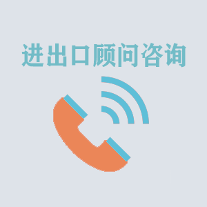 广西进出口顾问咨询